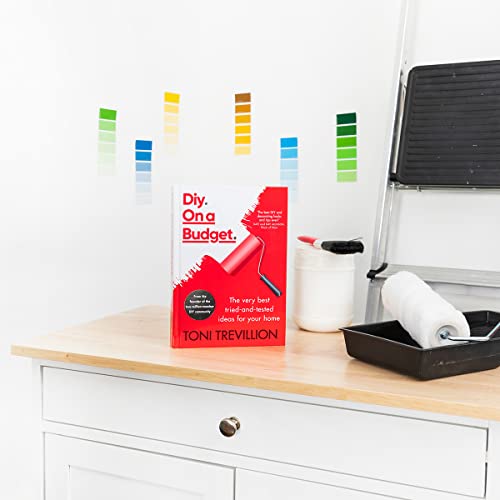 Toni Trevillion - Diy. On a Budget. : The very best tried-and-tested i image 3