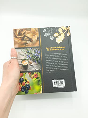 Christine Iverson - Hedgerow Apothecary : Recipes, Remedies and Ritual image 5