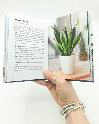 Felicity Hart - Little Book for Plant Parents : Simple Tips to Help Yo image 4