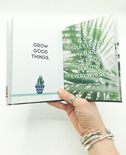 Felicity Hart - Little Book for Plant Parents : Simple Tips to Help Yo image 5