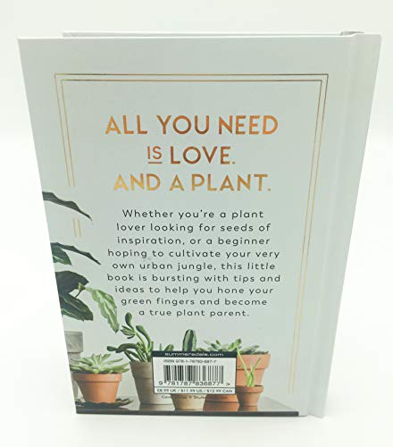 Felicity Hart - Little Book for Plant Parents : Simple Tips to Help Yo image 6