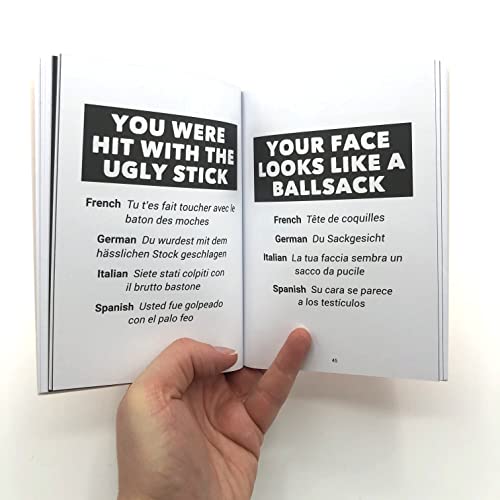 Sid Finch - Little Book of Foreign Swear Words - Paperback image 4