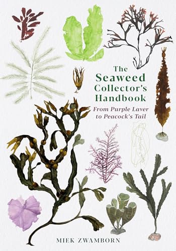 Miek Zwamborn - Seaweed Collector's Handbook : From Purple Laver t image 1