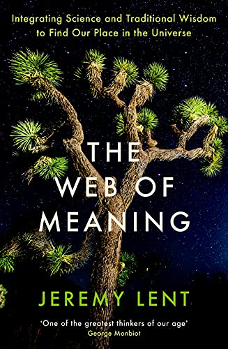 Jeremy Lent - Web of Meaning : Integrating Science and Traditional Wis image 1