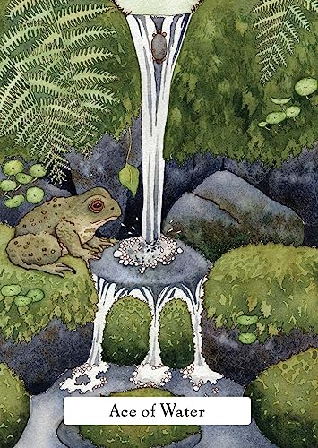 Phyllis Curott - Witches' Wisdom Tarot (Standard Edition) : A 78-C image 2