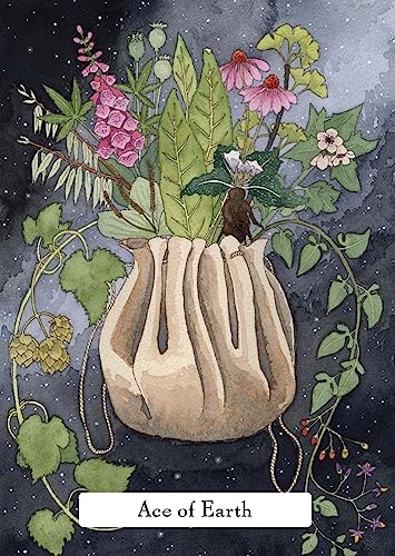 Phyllis Curott - Witches' Wisdom Tarot (Standard Edition) : A 78-C image 4