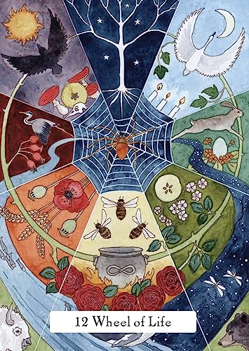 Phyllis Curott - Witches' Wisdom Tarot (Standard Edition) : A 78-C image 5