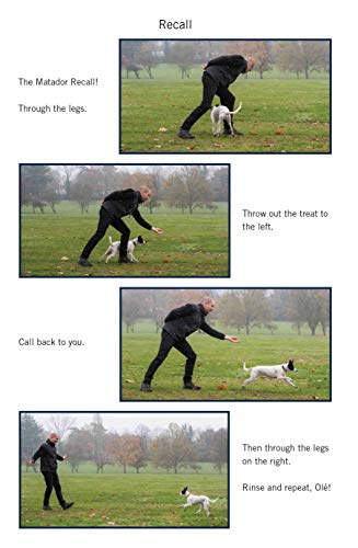 Steve Mann - Easy Peasy Puppy Squeezy : Your simple step-by-step guide image 2