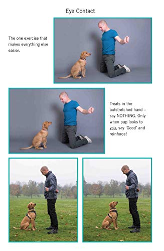 Steve Mann - Easy Peasy Puppy Squeezy : Your simple step-by-step guide image 3