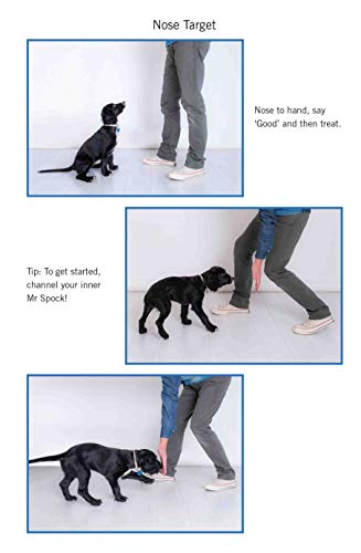 Steve Mann - Easy Peasy Puppy Squeezy : Your simple step-by-step guide image 4