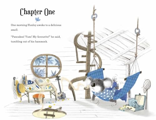 Alan MacDonald - Huxley and Flapjack - Paperback image 3