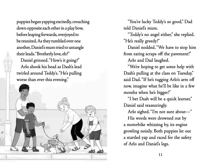 Catherine Jacob - Puppy Club: Dash Takes Off - Paperback image 5