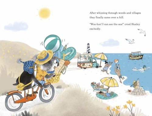 Alan MacDonald - Huxley and Flapjack: Trouble at Sea - Paperback image 7