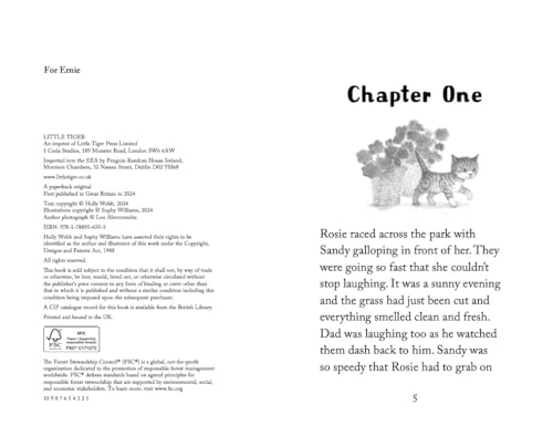 Holly Webb - Determined Kitten - Paperback image 2