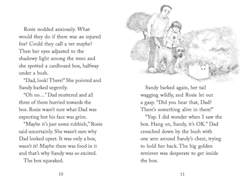 Holly Webb - Determined Kitten - Paperback image 5