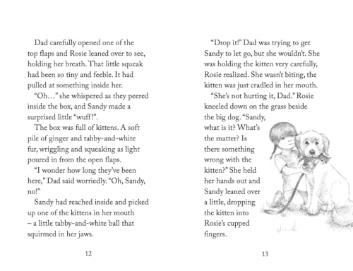 Holly Webb - Determined Kitten - Paperback image 6