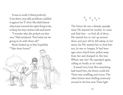 Holly Webb - Determined Kitten - Paperback image 7