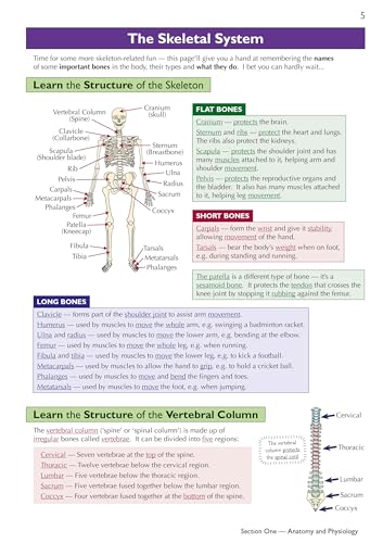 CGP Books - GCSE Physical Education Edexcel Complete Revision & Practi image 3