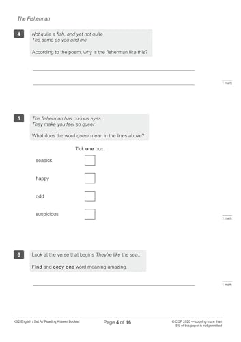 CGP Books - New KS2 English SATS Practice Papers: Pack 5 (for the test image 5