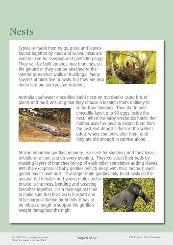 CGP Books - New KS2 Complete SATS Practice Papers Pack: Science, Maths image 4