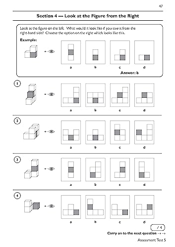 New 11+ CEM Non-Verbal Reasoning Practice Book & Assessment Tests - Ag image 7