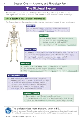 CGP Books - New Grade 9-1 GCSE Physical Education OCR Complete Revisio image 2
