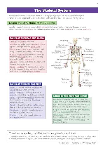 CGP Books - New Grade 9-1 GCSE Physical Education OCR Complete Revisio image 3