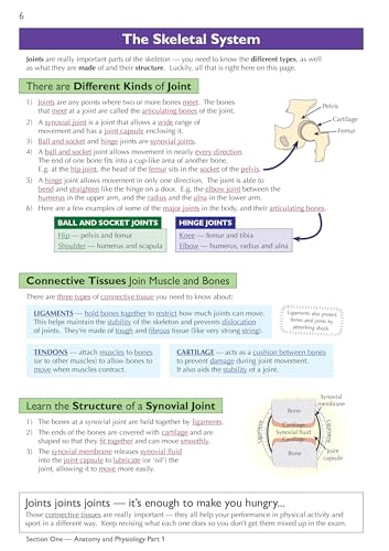 CGP Books - New Grade 9-1 GCSE Physical Education OCR Complete Revisio image 4