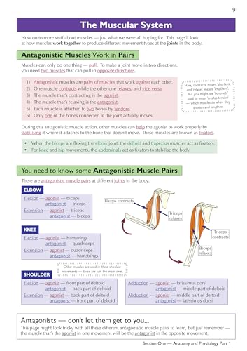 CGP Books - New Grade 9-1 GCSE Physical Education OCR Complete Revisio image 7