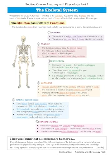 CGP Books - New GCSE Physical Education OCR Revision Guide - for the G image 2