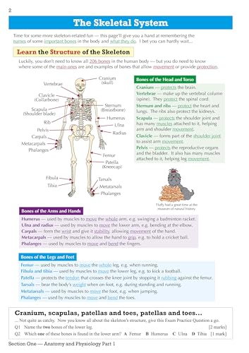 CGP Books - New GCSE Physical Education OCR Revision Guide - for the G image 3