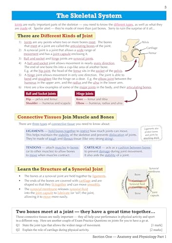 CGP Books - New GCSE Physical Education OCR Revision Guide - for the G image 4