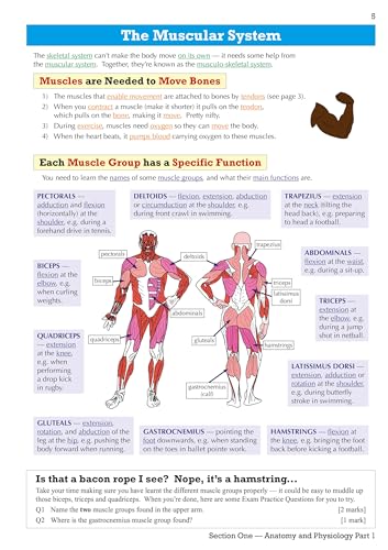 CGP Books - New GCSE Physical Education OCR Revision Guide - for the G image 6
