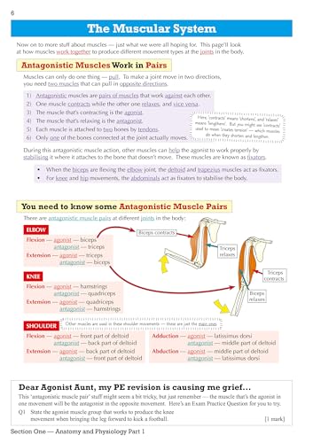 CGP Books - New GCSE Physical Education OCR Revision Guide - for the G image 7