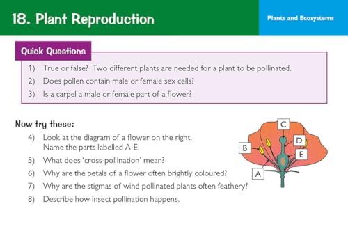 CGP Books - New KS3 Science Revision Question Cards - Hardback image 4