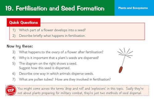 CGP Books - New KS3 Science Revision Question Cards - Hardback image 6