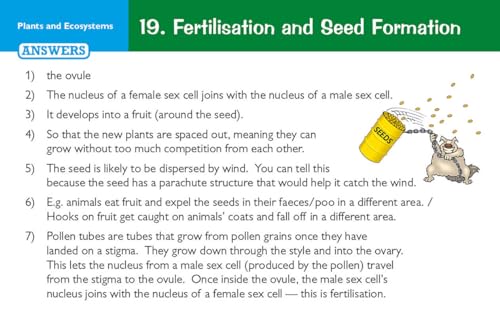 CGP Books - New KS3 Science Revision Question Cards - Hardback image 7