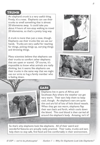 CGP Books - New KS2 English Reading SAT Buster Foundation: Non-Fiction image 4