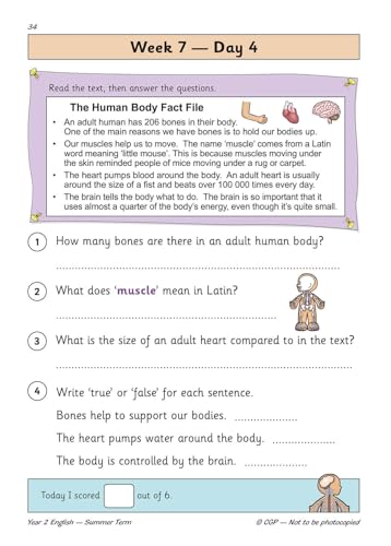 CGP Books - New KS1 English Daily Practice Book: Year 2 - Summer Term image 5