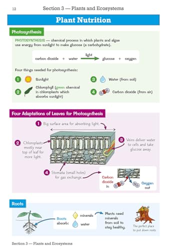 CGP Books - KS3 Science Knowledge Organiser - Paperback image 2