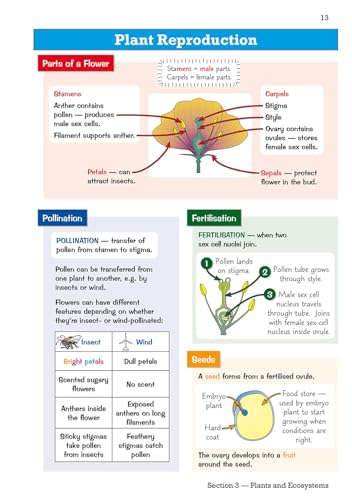 CGP Books - KS3 Science Knowledge Organiser - Paperback image 3