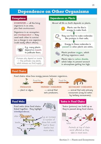 CGP Books - KS3 Science Knowledge Organiser - Paperback image 5
