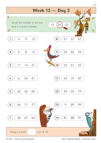 CGP Books - KS2 Mental Maths Year 5 Daily Practice Book: Summer Term - image 3