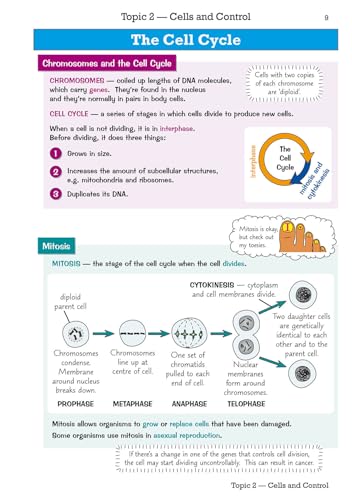 CGP Books - GCSE Biology Edexcel Knowledge Organiser - Paperback image 2