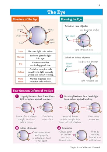 CGP Books - GCSE Biology Edexcel Knowledge Organiser - Paperback image 6