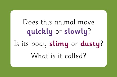 CGP Books - Vocabulary Flashcards for Ages 3-5 - Hardback image 9