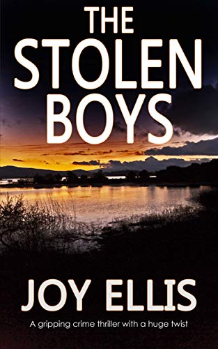 Joy Ellis - Stolen Boys - Paperback image 1