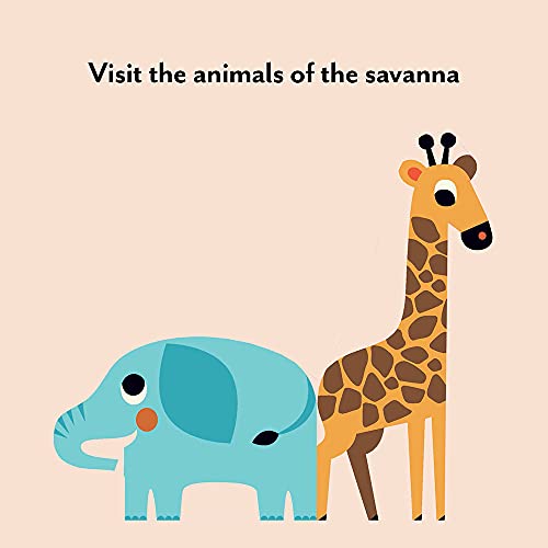 Bookscape Board Books: Wild Animals - Hardback image 2