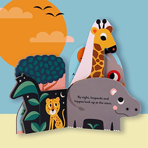 Bookscape Board Books: Wild Animals - Hardback image 7
