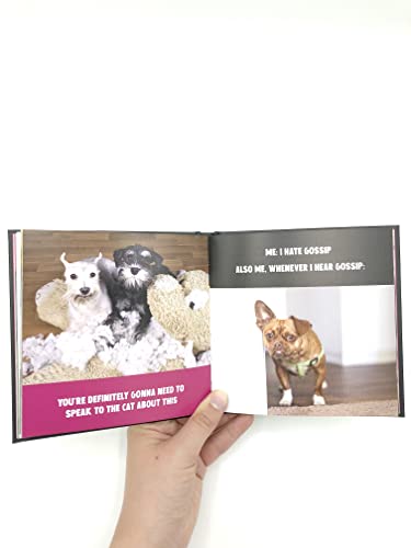 Charlie Ellis - Funny Dogs : A Hilarious Collection of the World's image 3